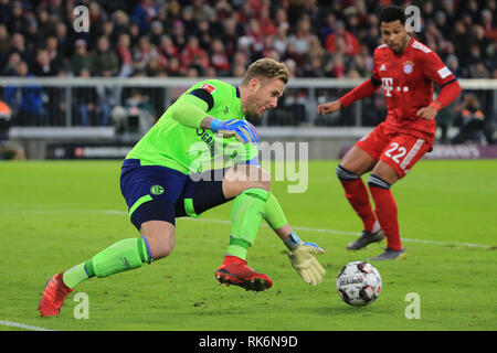 München, Deutschland. 9 Feb, 2019. Schalke 04 Die Torhüter Ralf Faehrmann (L) macht eine Speicherung während einer Deutschen Bundesligaspiel zwischen Bayern München und der FC Schalke 04, in München, Deutschland, Jan. 9, 2019. Bayern München gewann 3-1. Credit: Philippe Ruiz/Xinhua/Alamy leben Nachrichten Stockfoto