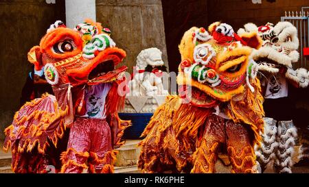 Albuquerque, USA. 9 Feb, 2019. Lion Tanz aufgeführt chinesische Mondjahr an der chinesischen Kultur Center Albuquerque in Albuquerque, New Mexiko, die Vereinigten Staaten zu feiern, Jan. 9, 2019. Die Feier zum Drachen- und Löwentänzen, tai Chi kung fu Demonstrationen und Ausstellungen. Credit: Richard Lakin/Xinhua/Alamy leben Nachrichten Stockfoto