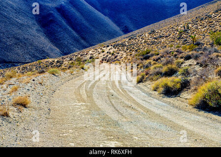 Wüste Schmutz Straße Richtung Mountain darüber hinaus. Herbst Wüste mit Gelb und goldbraun Vegetation an der Seite der Straße. Stockfoto