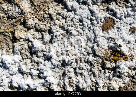 Alkali Nahaufnahme an Owens Lake, Kalifornien, USA Stockfoto