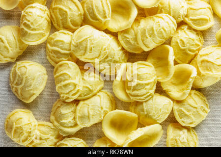 Orecchiette Pasta auf weißem Stoff, ein kleines Ohr an Pasta in der Mitte dünner als am Rand und eine raue Oberfläche Stockfoto