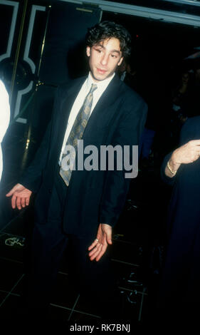 LAS VEGAS, NV - 1. Januar: Schauspieler Jason Gould beachtet" Ein Abend mit Barbra Streisand Konzert am 1. Januar 1994 im MGM Grand in Las Vegas, Nevada. Foto von Barry King/Alamy Stock Foto Stockfoto