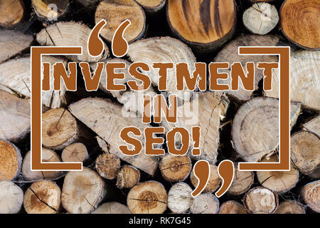 Wort schreiben Text Investition in SEO. Business Konzept für zahlen Geld Sichtbarkeit der Website Suchmaschine Holz- Hintergrund vintage Holz zu verbessern Wild Stockfoto