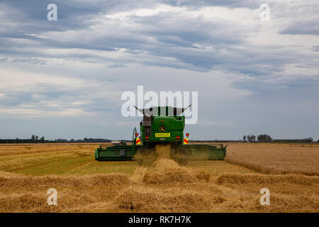 Eine moderne John Deere Mähdrescher arbeiten in einem Feld im Sommer in Canterbury, Neuseeland Stockfoto