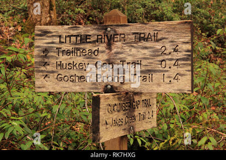 Die malerische Gurke Lücke Trail ist ein Moderat bis anstrengend Wanderweg in der elkmont Abschnitt der Great Smokey Mountains National Park, Tennessee Stockfoto