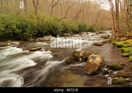 Teilweise befindet sich in Great Smokey Mountains National Park, der kleine Fluss bietet einige der schönsten Landschaft im Südosten der Vereinigten Staaten Stockfoto