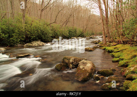 Teilweise befindet sich in Great Smokey Mountains National Park, der kleine Fluss bietet einige der schönsten Landschaft im Südosten der Vereinigten Staaten Stockfoto