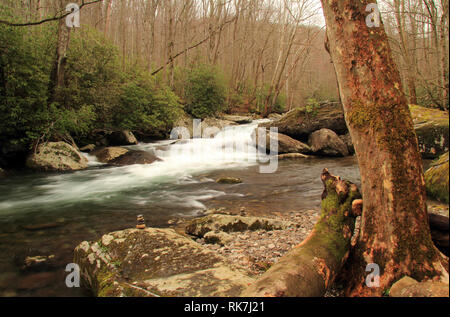 Teilweise befindet sich in Great Smokey Mountains National Park, der kleine Fluss bietet einige der schönsten Landschaft im Südosten der Vereinigten Staaten Stockfoto