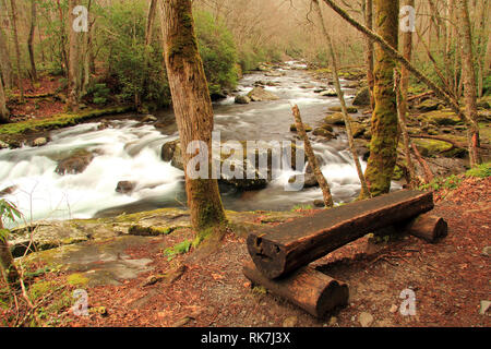 Teilweise befindet sich in Great Smokey Mountains National Park, der kleine Fluss bietet einige der schönsten Landschaft im Südosten der Vereinigten Staaten Stockfoto