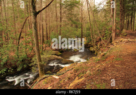 Teilweise befindet sich in Great Smokey Mountains National Park, der kleine Fluss bietet einige der schönsten Landschaft im Südosten der Vereinigten Staaten Stockfoto