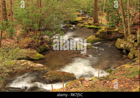 Teilweise befindet sich in Great Smokey Mountains National Park, der kleine Fluss bietet einige der schönsten Landschaft im Südosten der Vereinigten Staaten Stockfoto