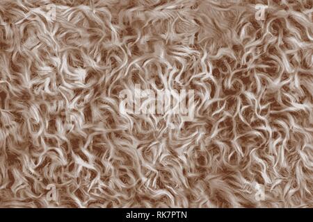Textur von Schafwolle, oder lockiges weißes Haar Stockfoto