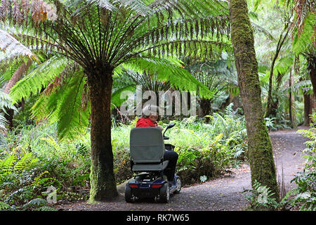 Frau auf einem Motorroller in Australiens Regenwald Stockfoto