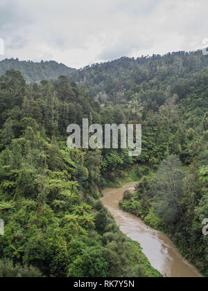 Ahuahu Stream in der Flut, fließt durch native Wald Bush bedeckten Hügeln, ein bewölkter Tag im Herbst, Ahuahu Tal, Whanganui River, New Zealand Stockfoto