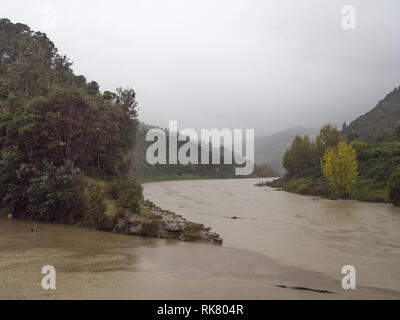 Whanganui River, in der Flut, schlammigen Wasser, ein regnerischer Tag im Herbst, Te Tuhi Landung, am Zusammenfluss mit Ahuahu Stream, North Island, Neuseeland Stockfoto