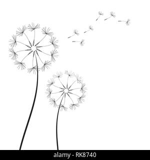 Abstrakte Löwenzahn Löwenzahn mit fliegenden Samen - Vektor Stock Vektor
