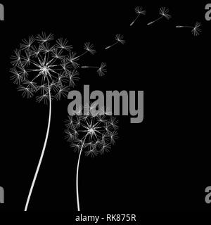 Abstrakte Löwenzahn Löwenzahn mit fliegenden Samen - Vektor Stock Vektor
