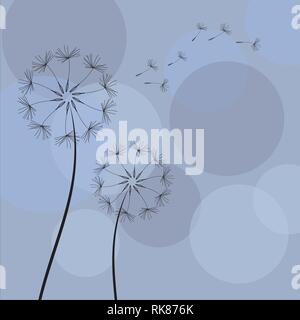 Abstrakte Löwenzahn Löwenzahn mit fliegenden Samen Vektor Stock Vektor
