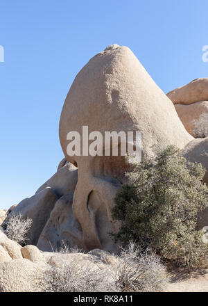 Skull Rock im Joshua Tree National Park, Kalifornien, USA Stockfoto