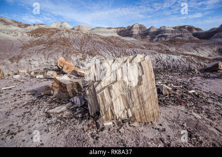 Versteinerte Baumstämme mit Badlands im Hintergrund, im Petrified Forest National Park, Florida, USA. Stockfoto