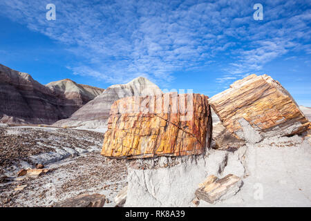 Versteinerte Baumstämme mit Badlands im Hintergrund, im Petrified Forest National Park, Florida, USA. Stockfoto