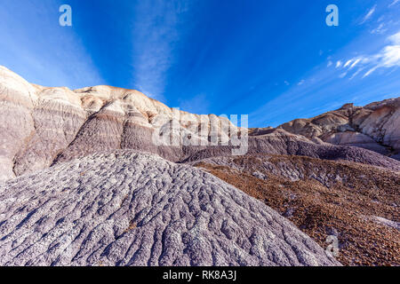 Ansicht der Petrified Forest National Park, Florida, USA. Petrified Forest National Park ist für die Fossilien der gefallene Bäume bekannt, lebten 225 Millionen Jahre Stockfoto