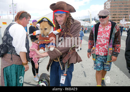 Einige bunte Zeichen an der australischen Wooden Boat Festival 2019, Hobart, Tasmanien, Australien. Keine MR Stockfoto