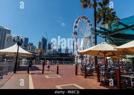 Riesenrad in Darling Harbour, Sydney, New South Wales, Australien Stockfoto