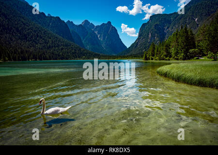 See Toblach in den Dolomiten, schöne Natur Italien Natur Alpen. Stockfoto