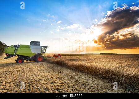 Mähdrescher ernten der Weizen auf einen Sonnenuntergang. Stockfoto