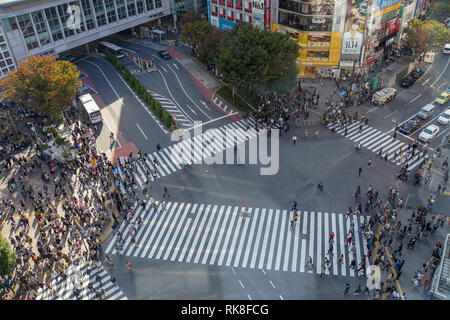 Erhöhte Ansicht einer Krähte der Fußgänger ein 4 Wege Zebrastreifen im Zentrum von Tokio, Japan Stockfoto