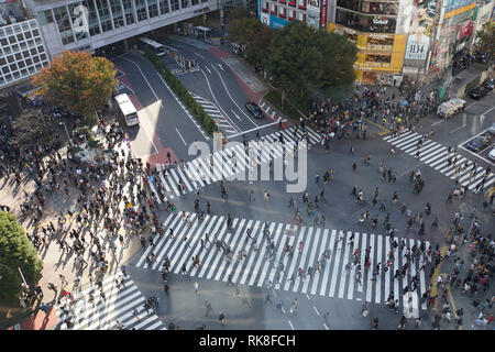 Erhöhte Ansicht einer Krähte der Fußgänger ein 4 Wege Zebrastreifen im Zentrum von Tokio, Japan Stockfoto