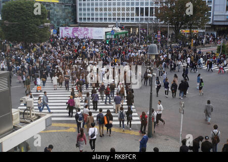 Erhöhte Ansicht einer Krähte der Fußgänger ein 4 Wege Zebrastreifen im Zentrum von Tokio, Japan Stockfoto