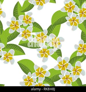 Frangipani Plumeria tropischen Blumen. Nahtlose Muster Hintergrund. Vector Illustration Stock Vektor