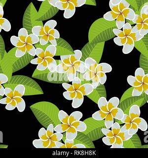 Frangipani Plumeria tropischen Blumen. Nahtlose Muster Hintergrund. Vector Illustration Stock Vektor