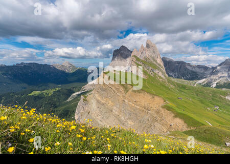 Seceda Spitzen im Sommer, mit Globeflowers im Vordergrund. St. Ulrich, Provinz Bozen, Trentino Alto Adige, Italien. Stockfoto