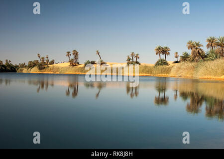 Ubari Oasi in der Sahara, Fessan, Libyen, Afrika Stockfoto
