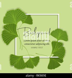 Ginkgo Biloba Blätter Stock Vektor