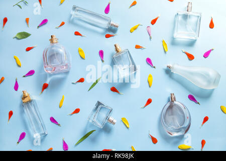 Parfum Flaschen mit der Blütenblätter auf blauem Hintergrund Stockfoto