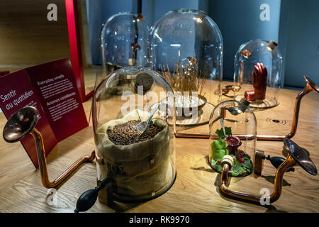 La Cité du Vin, der Stadt Wein, Wein House Museum, Bordeaux, Aquitaine, Frankreich Stockfoto