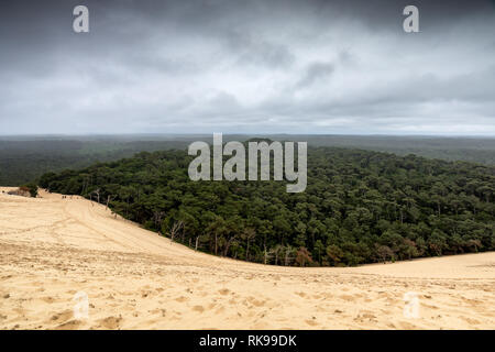 Die Düne von Pilat ist die höchste Sanddüne in Europa und befindet sich in La Teste-de-Buch in der Arcachon Bay Area in Frankreich, 60 km von Bordeaux entfernt. Stockfoto