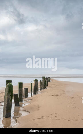 Reihe der Leistengegend zu erreichen, das Meer am Strand von berrow Sands in der Nähe von Burnham-on-Sea, Essex, Großbritannien Stockfoto