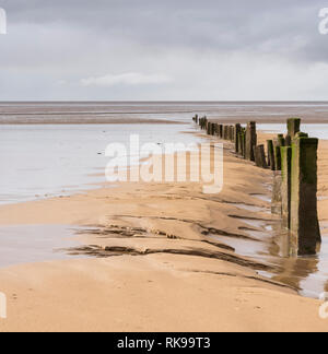 Reihe der Leistengegend zu erreichen, das Meer am Strand von berrow Sands in der Nähe von Burnham-on-Sea, Essex, Großbritannien Stockfoto