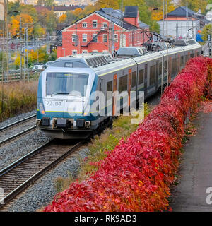 Nahverkehrszug in Oslo im Herbst Stockfoto