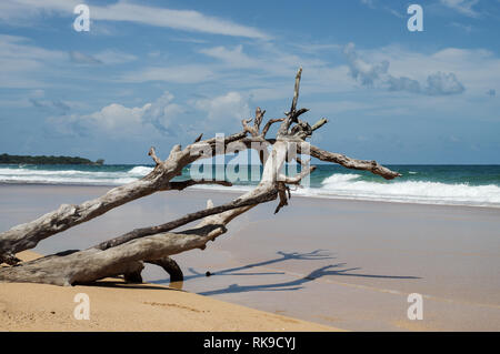 Wunderschöne Playa Bluff auf Doppelpunkt Insel im Archipel Bocas del Toro, Panama Stockfoto