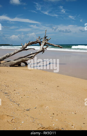 Wunderschöne Playa Bluff auf Doppelpunkt Insel im Archipel Bocas del Toro, Panama Stockfoto