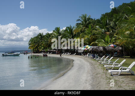 Schöne starfish Beach in der Nähe von Boca Del Drago auf Archipel Bocas del Toro, Panama Stockfoto