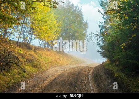 Straße bergauf durch den Wald im Herbst Nebel. Bunte Bäume auf der Seite weg. dramatische Natur Landschaft Stockfoto