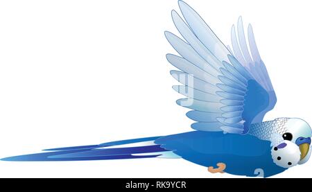 Vektor cartoon Animal clipart: fliegender Wellensittich Stock Vektor