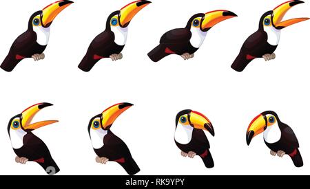 Vektor cartoon Animal clipart: cute toco Tukane Stock Vektor
